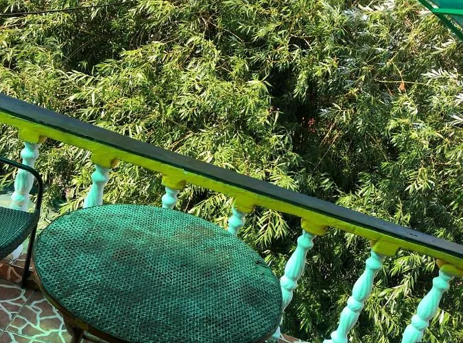 Florentina * Κονστάντζα